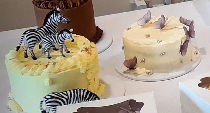 zebra